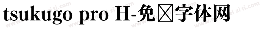 tsukugo pro H字体转换
